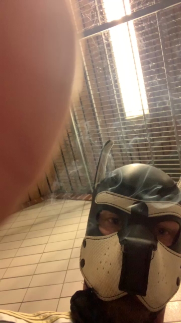machobulle2  03-08-2021 Recorded Video Porn